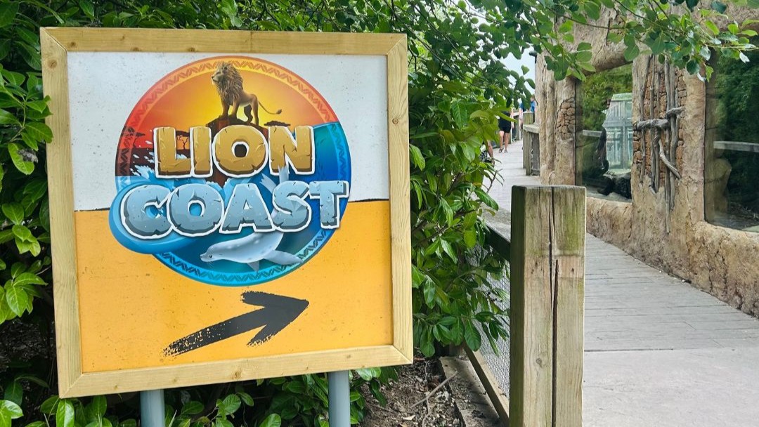 Lion Coast — Flamingo Land Resort